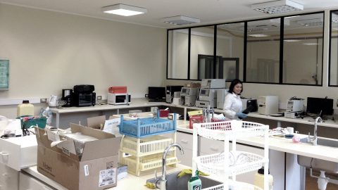 Se remodelan los laboratorios de nuestro Departamento
